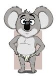  bulge buster_moon clothed clothing hi_res illumination_entertainment koala looking_at_viewer male mammal marsupial neenya sing_(movie) solo underwear underwear_only vombatiform 
