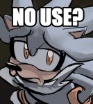  2022 ? amber_eyes ambiguous_gender anthro bust_portrait colored_sketch english_text eulipotyphlan frown gabs-sam hedgehog image_macro impact_(font) looking_at_viewer mammal meme no_bitches? portrait sega silver_the_hedgehog sketch solo sonic_the_hedgehog_(series) text 
