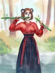  2021 5_fingers asian_clothing bamboo breasts brown_hair clothing devergilia east_asian_clothing eating eating_food female fingers giant_panda hair holding_bamboo human mammal one_eye_closed outside red_clothing short_hair solo species_transformation transformation ursid 