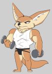  anthro biceps bodily_fluids bulge canid canine clothing disney exercise fennec finnick fox male mammal muscular muscular_male pecs shirt solo sweat tank_top topwear unrealrui weightlifting weights workout zootopia 