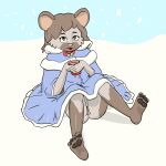  bigmlem clothing coat female flashing genitals hi_res lolita_(fashion) looking_at_viewer mammal mouse murid murine pawpads paws pinup pose pussy rodent snow solo topwear 