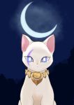  ahkin ambiguous_gender domestic_cat felid feline felis feral front_view hi_res jewelry looking_at_viewer mammal moon necklace night night_sky pendant sitting solo white_body 