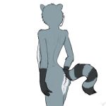  absurd_res anthro bluedmoka butt hi_res male mammal mapache procyonid raccoon solo 