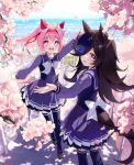  2girls animal_ears bangs blue_flower blue_rose blush bow bowtie branch brown_footwear brown_hair cherry_blossoms cherry_tree cityscape flower hair_intakes haru_urara_(umamusume) hat hat_flower headband highres horse_ears horse_girl horse_tail long_hair long_sleeves looking_at_viewer looking_back mountainous_horizon multiple_girls open_mouth outdoors outstretched_arm petals pink_eyes pink_hair ponytail purple_eyes purple_legwear purple_shirt purple_skirt railing rice_shower_(umamusume) rose sailor_collar school_uniform shirt shoes skirt smile stairs standing sylpi tail thighhighs tracen_school_uniform twitter_username umamusume white_bow white_bowtie 