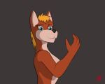  animated anthro canid canine female fire fox harkrun magic_user mammal solo 
