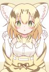  1girl :o animal_ear_fluff animal_ears bangs bare_shoulders black_hair blonde_hair blush bow breasts brown_background cat_ears claw_pose commentary_request elbow_gloves eyebrows_visible_through_hair gloves green_eyes hair_between_eyes hands_up high-waist_skirt highres kemono_friends long_hair looking_at_viewer medium_breasts multicolored_hair parted_lips partial_commentary sand_cat_(kemono_friends) shirt skirt sleeveless sleeveless_shirt solo sunanuko_(ramuneko) two-tone_background two-tone_hair white_background white_gloves white_shirt yellow_bow yellow_skirt 