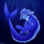  absurd_res ambiguous_gender big_ears big_tail blue_background blue_body bubble ear_piercing eyes_closed fin fish floppy_ears gauged_ear hi_res horn hybrid marine mer neck_tuft nightraven393 ocean_serenity piercing sea shark shark-dragon simple_background solo tuft underwater water 