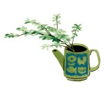  animal_print artist_name branch coffee_pot fish_print floral_print hirasawa_minami lowres no_humans no_lineart original plant potted_plant simple_background still_life white_background 