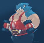  2015 anthro biped black_nose blue_body bodily_fluids bottomwear clothing eulipotyphlan exercise greenendorf hedgehog male mammal musclegut overweight overweight_male pants sega shirt solo sonic_the_hedgehog sonic_the_hedgehog_(series) sweat topwear workout 