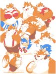  2014 angry anthro belly blue_body bottomwear brown_body canid canine carrying clothing duo eulipotyphlan eyes_closed fox greenendorf hedgehog humanoid_hands knuckles_the_echidna male mammal miles_prower multiple_poses overweight overweight_male pants piggyback pose red_body sega shorts size_difference solo sonic_the_hedgehog sonic_the_hedgehog_(series) suspenders white_body 
