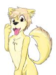  anthro brown_eyes canid canine digital_drawing_(artwork) digital_media_(artwork) fur hair hi_res male mammal simple_background solo solo_focus teenager thejameater yellow_body yellow_fur young young_male 