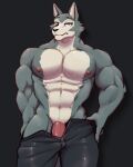  abs anthro beastars big_muscles big_penis black_background black_bottomwear black_claws black_clothing black_nose black_pants bodily_fluids bottomwear canid canine canis claws clothing croiyan fur genitals grey_body grey_fur hi_res legoshi_(beastars) looking_at_viewer male mammal muscular muscular_anthro muscular_male nipples pants pecs penis penis_base simple_background solo sweat undressing white_body white_fur wolf zipper 