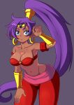 5_fingers absurd_res blue_eyes breasts brown_body brown_skin cleavage clothed clothing ear_piercing ear_ring female fingers genie hair hi_res humanoid humanoid_pointy_ears long_hair looking_at_viewer navel ninelean not_furry piercing ponytail purple_hair ring_piercing shantae shantae_(series) simple_background solo wayforward