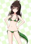  1girl absurdres aikawa_ryou bare_arms bare_shoulders bikini blush breasts brown_eyes brown_hair checkered_background chinese_zodiac closed_mouth collarbone commentary_request dragon_tail feet_out_of_frame green_bikini groin hair_between_eyes hands_on_own_hips highres long_hair navel print_bikini scale_print side-tie_bikini_bottom small_breasts smile solo standing swimsuit tail to_love-ru year_of_the_dragon yuuki_mikan 