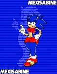 absurd_res anthro big_breasts big_butt bottomwear breasts bulge butt clothing crop_top crossgender eulipotyphlan female footwear gloves handwear hedgehog hi_res mammal mexisabine midriff organs sega shirt shoes shorts solo sonic_the_hedgehog sonic_the_hedgehog_(series) sportswear stomach thick_thighs topwear