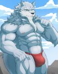 2022 5_fingers abs absurd_res anthro asian_clothing beard biceps biped black_nose canid canine canis clothed clothing colored east_asian_clothing eyebrows facial_hair fingers fundoshi fundoshi_only fur grey_body grey_eyebrows grey_fur grey_tail hi_res humanoid_hands japanese_clothing law_(sdorica) male mammal muscular muscular_anthro muscular_male muscular_thighs navel nipples pecs pink_nipples red_clothing red_fundoshi red_underwear sdorica serenaught signature solo tail thick_eyebrows topless triceps underwear underwear_only wolf yellow_eyes yellow_sclera