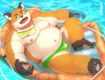2024 anthro belly big_belly black_nose bulge canid canine clothing detailed_background feet fox humanoid_hands iyo_(tamacolle) kemono male mammal moobs natsuhakoura nipples orange_body overweight overweight_male solo swimwear tamacolle water