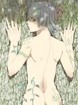  against_tree ass back bad_id bad_pixiv_id bangs blue_eyes eyelashes facial_tattoo from_behind hands looking_at_viewer looking_back male_focus nape nayu nude original parted_bangs plant shoulder_blades silver_hair solo tattoo tree vines 