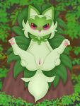 absurd_res blush female feral fluffy fluffy_tail forest genitals hi_res jakuya_art jungle leaf nintendo pawpads plant pok&eacute;mon pussy red_eyes solo spread_legs spread_pussy spreading sprigatito tongue tongue_out tree video_games 