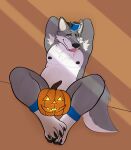 anthro antlers armpit_hair belly body_hair canid canine canis chromawolf claws freckles halloween hi_res holidays horn hybrid jack-o&#039;-lantern lightly_chubby male mammal nipples overweight pecs solo tongue tongue_out wolf