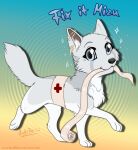  + canid canine canis chibi female feral first_aid_kit fur mammal medical_instrument rukifox scientific_instrument solo white_body white_fur wolf 