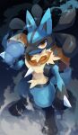  absurdres black_fur blue_fur brown_eyes brown_scarf dog full_body furry highres lucario multicolored_fur nullma pokemon pokemon_(creature) scarf slit_pupils solo spikes 