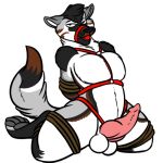  anthro ball_gag bdsm bloo bound canid canine gag harness harness_ball_gag harness_gag knot male mammal muzzle_(object) rope solo torak 