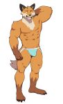  2024 abs anthro biceps big_muscles bulge canid canine claws clothed clothing epic_games fennix_(fortnite) fortnite fox fur hand_behind_head hi_res jockstrap jockstrap_only jrjresq male mammal muscular muscular_anthro muscular_male open_mouth pecs plantigrade simple_background solo standing topless topless_anthro topless_male tuft underwear underwear_only white_background 