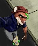  anthro beanie clothing domestic_ferret green_eyes green_hair hair hat headgear headwear hi_res hoodie longboard male mammal mustela mustelid musteline scribblesock skateboard solo summer topwear true_musteline 