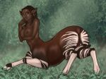  absurd_res big_breasts breasts brown_eyes butt daf dark_body dark_skin ear_piercing ear_ring female giraffid giraffid_taur hi_res jewelry mammal mammal_taur nipples nude okapi okapi_taur piercing presenting presenting_hindquarters solo stripes taur 