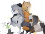  2girls absurdres animal_ear_fluff animal_ears arknights back-to-back bead_bracelet beads black_legwear black_shorts blonde_hair blue_eyes bracelet breasts brown_eyes brown_hair bun_cover chinese_clothes closed_mouth crossed_legs du_(arknights) earrings feather_hair fur_shawl gloves green_gloves hair_rings highres jacknife jewelry long_hair long_sleeves looking_at_viewer medium_breasts mulberry_(plant_crude_drug)_(arknights) multicolored_hair multiple_girls official_alternate_costume shorts silver_hair simple_background single_glove sitting smile tassel thighhighs tiger_ears two-tone_hair underbust very_long_hair white_background 