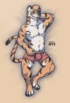  absurd_res bengal_tiger boxer_briefs bulge clothing dakimakura_design felid hi_res male mammal pantherine soju tiger toffonyx underwear 