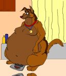  2009 all_dogs_go_to_heaven canid canine canis charlie_barkin claws collar collar_only domestic_dog don_bluth fangs feral fur hectorthewolf inside looking_down looking_surprised male mammal morbidly_obese morbidly_obese_feral morbidly_obese_male navel nude obese obese_feral obese_male overweight overweight_feral overweight_male raised_tail reflective_floor sitting solo 