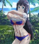  1girl artist_request beach bikini black_hair blue_bikini blue_eyes dumbbell_nan_kilo_moteru? eyelashes happy highres long_hair looking_at_viewer navel ocean palm_tree segment_display shirt smile solo source_request souryuuin_akemi standing swimsuit tree undressing vegetation white_shirt 