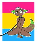  absurd_res ambiguous_gender anthro collar collar_pull hi_res kangaroo lgbt_pride macropod mammal marsupial pansexual_pride_colors petplay pride_colors roleplay solo 