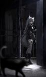  1girl animal_ears arknights bangs black_cat black_footwear black_jacket black_shorts blurry blurry_foreground boots cat closed_mouth full_body grey_eyes grey_hair hair_between_eyes hair_ornament hairclip high_heel_boots high_heels highres indoors jacket kuuus lappland_(arknights) light_particles long_hair looking_at_viewer motion_blur oripathy_lesion_(arknights) shorts sideways_glance solo tail wolf_ears wolf_girl wolf_tail 