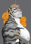  1boy animal_ears bara bare_pectorals broad_shoulders flower furry furry_male highres kou_(ixkouu) large_pectorals looking_at_viewer manly muscular muscular_male nipples orange_eyes orange_flower original pectoral_cleavage pectorals text_focus thick_arms tiger_boy wet 