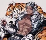  1boy abs animal_ears animal_hands animal_print azaya_(kuroi_azaya) bara bare_pectorals belt claws dark-skinned_male dark_skin fang furry furry_male highres jacket large_pectorals looking_at_viewer lying manly muscular muscular_male nipples original pants pectoral_cleavage pectorals tail tiger tiger_boy tiger_ears tiger_tail white_eyes white_hair 