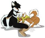  2022 alpha_channel anthro anthro_on_anthro anthro_penetrated anthro_penetrating anthro_penetrating_anthro black_body black_fur black_hair brown_body brown_fur canid canine canis digital_media_(artwork) domestic_dog duo female female_penetrated fur hair kittydee male male/female male_penetrating male_penetrating_female mammal oral penetration sex simple_background smile transparent_background white_body white_fur 