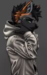  ambiguous_gender anthro canid canine clothing cross_fox eddy_fox_crossfox fox green_eyes hi_res hoodie italo_dober looking_at_viewer mammal red_fox solo topwear 