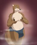  absurd_res anthro balls big_balls bodily_fluids breast_squeeze breasts brick_break_after_dark bulge genitals hi_res lactating lutrine male male_lactation mammal moobs musk mustelid slightly_chubby solo tagme tail 
