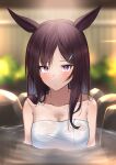  1girl animal_ears bangs bare_shoulders blurry blurry_background breasts brown_hair bust_cup cleavage closed_mouth collarbone hair_ornament hairclip highres horse_ears kuro_imu light_blush long_hair looking_at_viewer medium_breasts mejiro_dober_(umamusume) naked_towel onsen partially_submerged purple_eyes rock solo towel umamusume upper_body water 