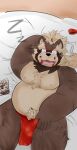  2022 anthro asian_clothing bed belly brown_body bulge canid canine clothing east_asian_clothing eyes_closed fundoshi furniture goemon_(tas) hi_res japanese_clothing kemono lifewonders lying male mammal moobs nipples overweight overweight_male raccoon_dog raio_owo red_clothing red_fundoshi red_underwear sleeping solo tanuki tokyo_afterschool_summoners underwear video_games 