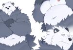 2022 anthro belly biped black_body black_nose cute_fangs hi_res humanoid_hands kemono multiple_poses navel nintendo nipples o-ro overweight pangoro pok&eacute;mon pok&eacute;mon_(species) pose simple_background solo video_games white_background white_body 