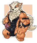  altenusy anthro arcanine balls barazoku canid canine digital_media_(artwork) erection fur genitals knot male mammal muscular muscular_anthro muscular_male nintendo nude pecs penis pok&eacute;mon pok&eacute;mon_(species) simple_background solo video_games 