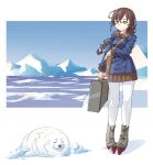  1girl animal bag bangs blue_jacket boots braid brown_hair brown_skirt closed_eyes closed_mouth day glacier highres holding ice jacket kantai_collection long_hair long_sleeves ndkazh orange_eyes outdoors pantyhose pleated_skirt rudder_footwear seal_(animal) single_braid skirt souya_(kancolle) standing suitcase water whiskers white_legwear 