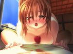  animated animated_gif breasts censored ebina_souichi gif nanami_(tokyo_lover) paizuri penis tokyo_lover 