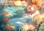  bathing blizzard_entertainment chen_stormstout genitals giant_panda heiyanlong_(artist) male mammal pandaren penis ursid video_games warcraft 
