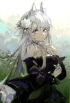  1girl animal_ear_fluff animal_ears arknights bangs bare_shoulders black_dress blue_eyes blush bug butterfly closed_mouth cloud cowboy_shot day dress finger_to_mouth flower hair_flower hair_ornament heavyrain_(arknights) heavyrain_(tranquil_moss)_(arknights) highres horse_ears long_hair official_alternate_costume outdoors qianzhu rose silver_hair solo sunlight swept_bangs white_flower white_rose 