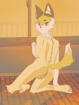  anthro back butt canid canine female fox hi_res intersex invalid_tag male male/female male/male maleherm mammal on pawpads pose solo tail zorro 